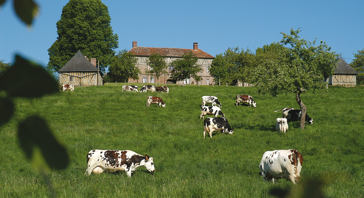 Camembert, village de l'Orne